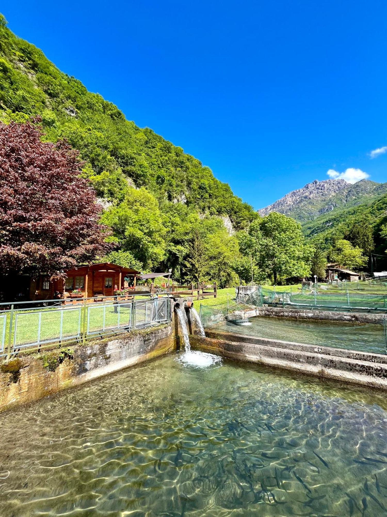 Agriturismo La Vecchia Chioderia Grandola ed Uniti ภายนอก รูปภาพ