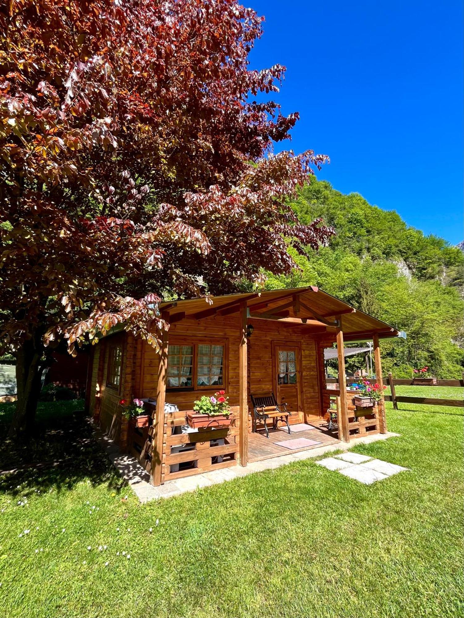 Agriturismo La Vecchia Chioderia Grandola ed Uniti ภายนอก รูปภาพ