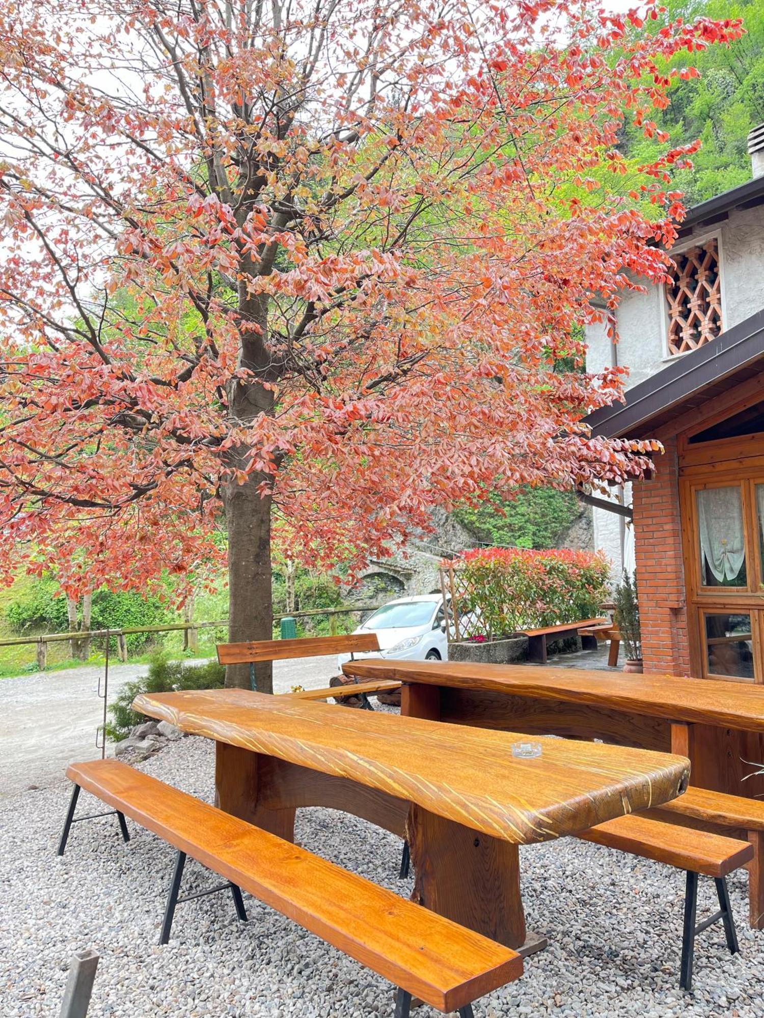 Agriturismo La Vecchia Chioderia Grandola ed Uniti ภายนอก รูปภาพ