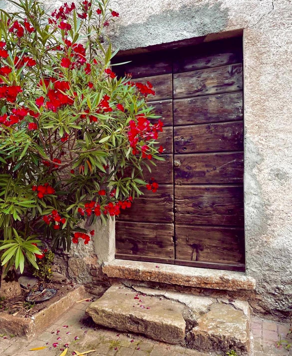Agriturismo La Vecchia Chioderia Grandola ed Uniti ภายนอก รูปภาพ