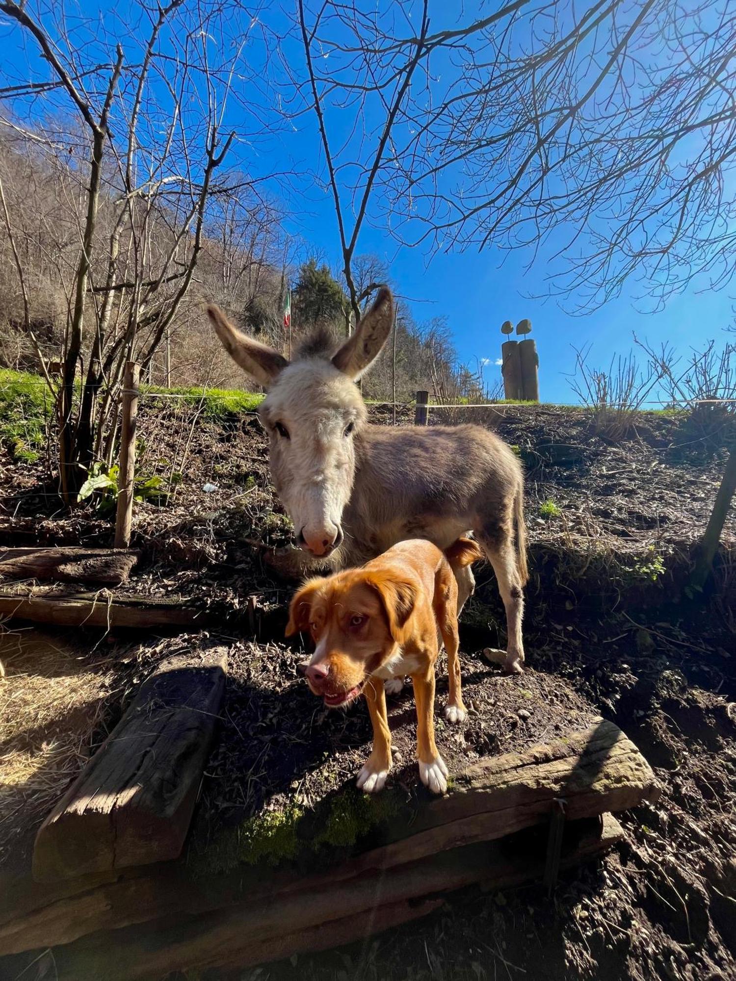 Agriturismo La Vecchia Chioderia Grandola ed Uniti ภายนอก รูปภาพ