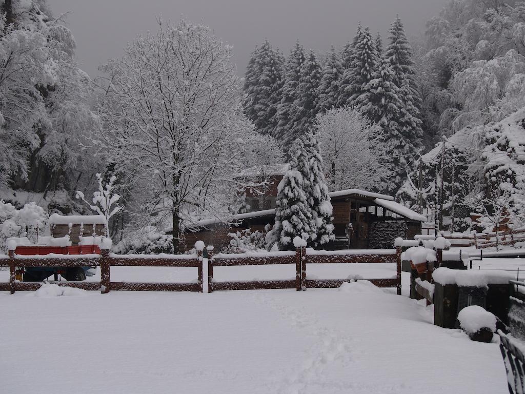 Agriturismo La Vecchia Chioderia Grandola ed Uniti ภายนอก รูปภาพ