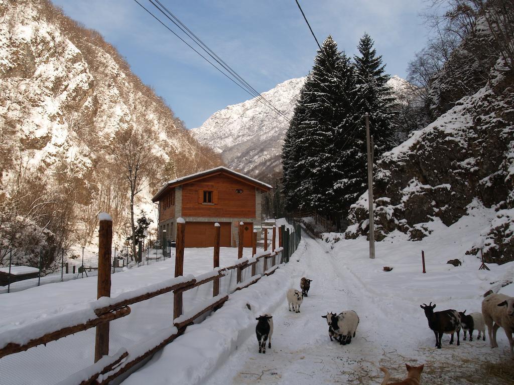 Agriturismo La Vecchia Chioderia Grandola ed Uniti ภายนอก รูปภาพ