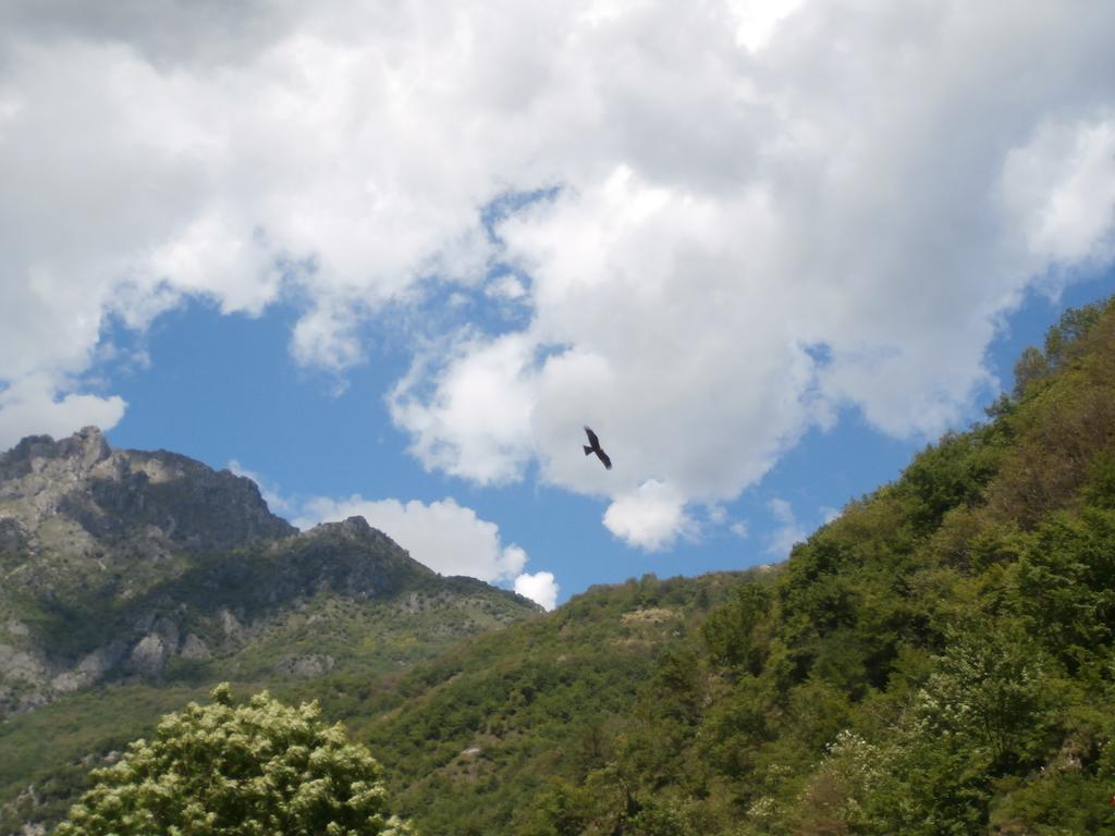 Agriturismo La Vecchia Chioderia Grandola ed Uniti ภายนอก รูปภาพ